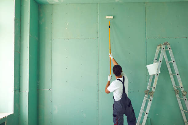 Best Ceiling Drywall Installation  in Iota, LA